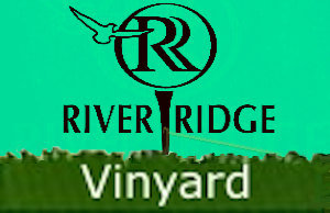 Vineyard Course at River Ridge